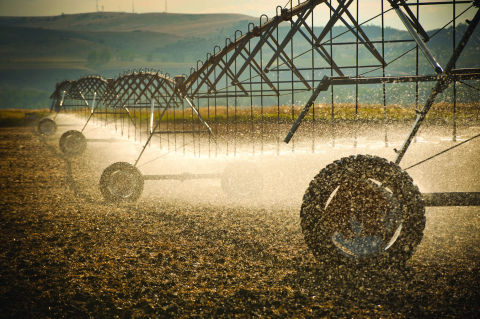 Testing Ag Performance Solutions (TAPS) is a program developed by the University of Nebraska Research and Extension specialists and educators to study real-life farm management through competitions.