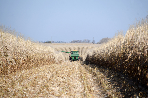 A combine rolls through a field east of Phillips last week as farmers work to finish up what most are describing as a good growing season in 2021. Wind damage from a July 9 storm, as well as some late October and early November rains, prolonged this year’s harvest.