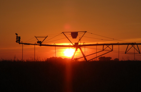 Courtesy photo // Camden Morris’ photo, titled ‘Pivot in the Sunset’ now hangs proudly in one of Sen. Ben Sasse’s offices. When in color, the photo features deep reds, oranges and yellows. 