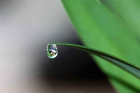 A popular topic of discussion among producers and ag specialists alike is that of nitrogen and its presence in water. 