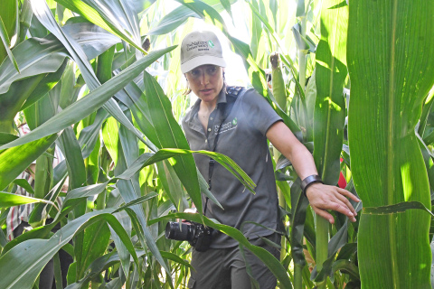 The Nature Conservancy (TNC) Nebraska Agricultural Strategy Lead Florencia Abram takes a group into Heath Bish’s cornfield to observe his farming practices and results.