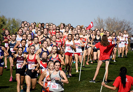 The race is on at state cross country meet.