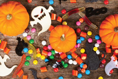 Back again for another year of scientific frights and scary good times, the Edgerton Explorit Center’s “Spooktacular” opens to the community Sunday from 1-4 p.m.