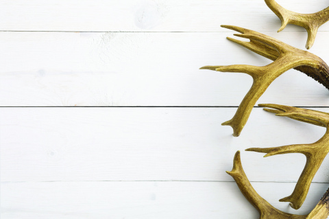 Deer firearm hunting season ended this weekend, with area hunters reporting less than usual success filling their tags.