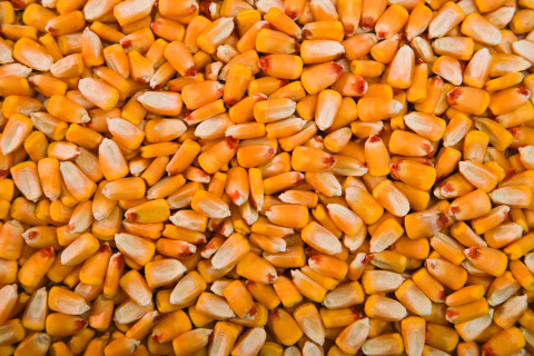 An issue that started formulating in 2020 has risen to the attention of the agriculture world in the United States yet again.