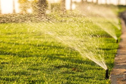 The Hampton Village Board is asking local residents to voluntarily reduce their use of water to reduce the pressure on the town's lone functioning water well.