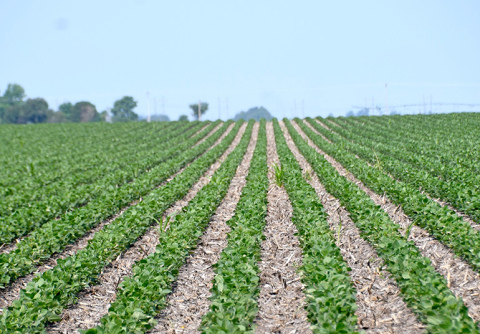 Ag land values and cash rental rates are going up across Nebraska, but the East District, which includes Hamilton and 15 other eastern counties, has the highest valued land in the state at an average of $9,320 an acre. 