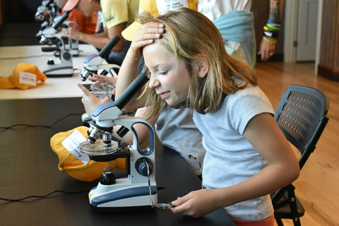 Pictured above, Lauren Sandmeier figured out how to use a microscope to take a closer look at a dragonfly nymph.