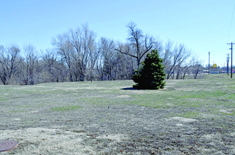 This photo looking south from near the intersection of Highway 14 and Old Creek Road shows the city property which is the future location of the Hamilton County Inclusive Playground. The Aurora McDonalds can be seen on the right. 