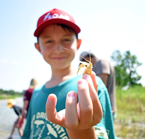 Camper Jaxon Bayne holds the molt of a crawdad. After, he let it back into the river as the molts provide vital nutrients to crawdads.