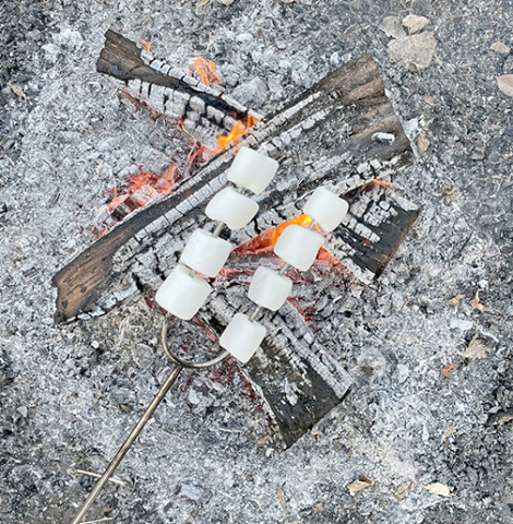 Allison Bangs was the food category winner, capturing a unique look of roasting marshmallows over campfire coals. 
