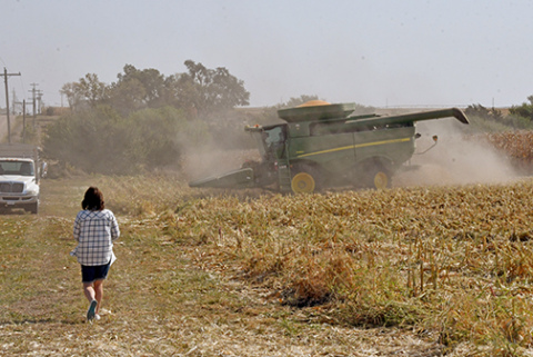 Sheila Miller carries lunch to her husband, Ray as he combines popcorn in a field south of Aurora last Wednesday. This past week’s dry conditions provided perfect conditions for continuing the 2024 harvest season at a fast pace. 