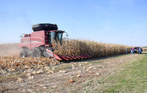 The Hamilton County Corn Growers teamed up last week to harvest the seed plot acreage on the Grosshans farm located on the east edge of Aurora along Highway 34. It was a picture-perfect day for harvesting, and the crews were done picking the corn and  documenting moisture and yields by early afternoon.