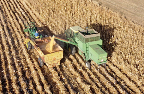 Grant and Laura Wilson’s vintage John Deere 6600 augers a hopperful of corn into a grain cart on the Vern Eastman farm east of Giltner last Wednesday. 