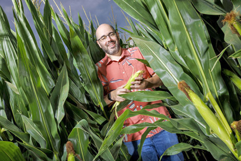 With a three-year, nearly $1 million grant from the National Science Foundation, the University of Nebraska-Lincoln’s James Schnable will help develop the first digital twin of a corn field, enabling researchers to quickly test countless what-if scenarios related to corn performance. (Craig Chandler/University Communication and Marketing)