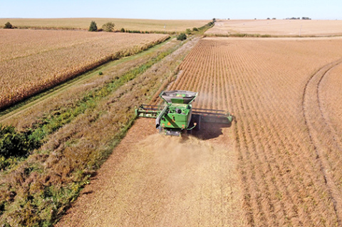 The UNL Center for Agricultural Profitability warns that farmers who have incorporated their businesses could face hefty fines and even imprisonment for failing to report their beneficial ownership information to the Financial Crimes Enforcement Network. 