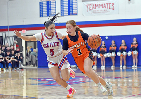 Giltner’s Avery Reeson smashes the ‘go’ button in an attempt to dribble past HPC’s Gahvi Lesiak during Friday’s area contest where the Storm came out on top, 55-29. 