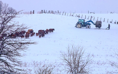 As the cash poor winter months are coming on UNL’s Center for Agricultural Profitability is urging producers to use caution when using operating loans and lines of credit. 