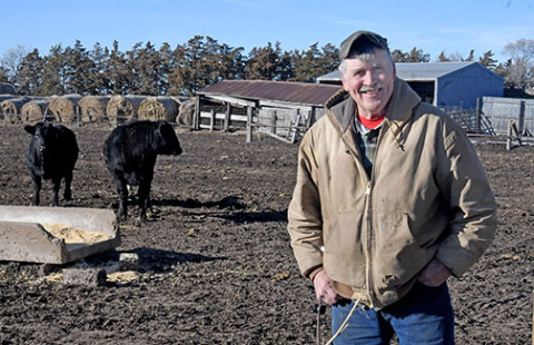 Hamilton County stock grower Fred Heuermann checks the cattle at his feed lot near Phillips. Heuermann will be presented with an award from the York-Hamilton County Cattlemen at their annual banquet on Jan. 28 at York. 