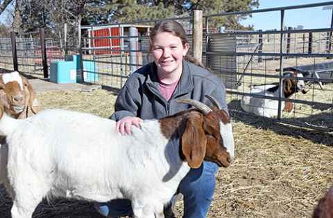 High Plains senior Allie Howell grew up around animals, showing all different kinds at the Polk County Fair growing up and has since enjoyed her time working with animals as part of the HPC FFA program. Howell serves as the chapter’s president for the 2024-25 school year. 
