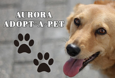 Adopt-A-Pet to hold fundraiser