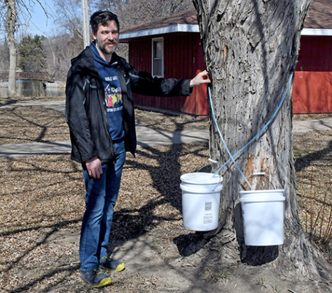 ohn Boeder, operations manager and executive chef at The Leadership Center, stands by his best producing silver maple tree. 