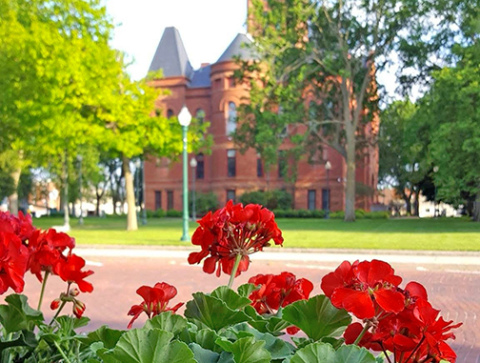 A total of $3,000 is being raised to renew and replant colorful flower baskets on Aurora’s downtown square. Those who wish to contribute may use the accompanying QR code to give via Go Fund Me and cash or check donations may be dropped off at Honeysuckle Lane. 