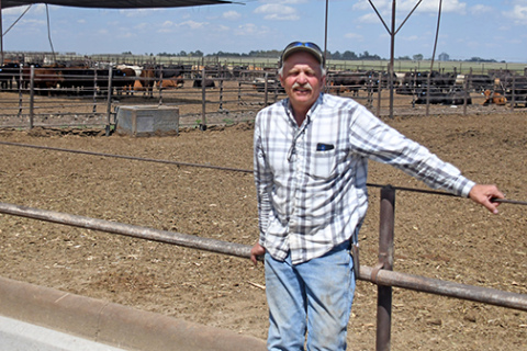 Francis McDonald stands in front of one of many cattle pens at the feed lot he and his brother, John, operate with the help of their sons near Phillips. Although they’re paying more for feeder calves these days because of the shortage caused by recent droughts in cow country, they’re also enjoying higher prices for their finished product due in part to the current popularity of beef. 