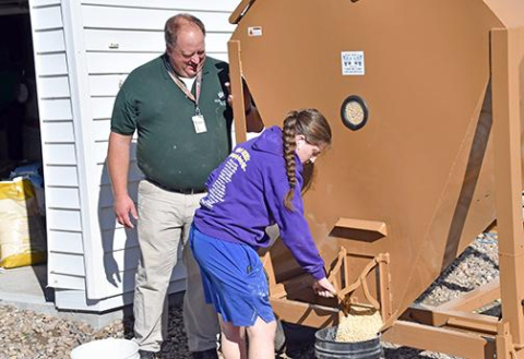 Hampton ag teacher Joel Miller, pictured here in a 2024 ANR photo, observes as Alana Wiarda preps feed for the Hawk Herd, a project Miller and his students have prided themselves on for seven-plus years. 