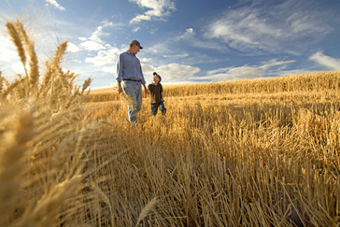 The financial needs of both generations involved in a farm succession plan should be considered in order to make a smooth transition. 