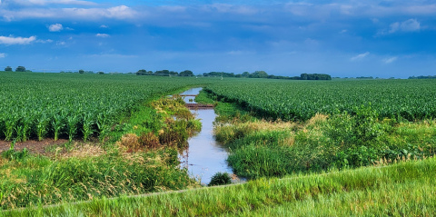 This drainage ditch in a corn field south of Marquette on Thursday morning shows evidence of much rain overnight. 
