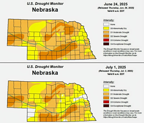 The National Drought Monitor map shows a marked improvement in Nebraska soil moisture conditions over the past two weeks. However, Hamilton County still remains about 4 inches behind normal precip for this point in the year. 