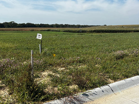 This lot on Beechwood Drive in the new Northridge Subdivision will be the site of a single-family dwelling planned by Brian and Chelsea Kaufman.