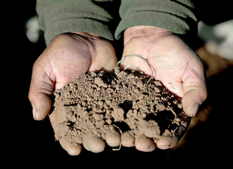 Could adopting soil health management systems lead to farmers experiencing more freedom and a rekindling of the traditional yeoman farmer? Julie Snorek says the Kansas and Nebraska farmers she surveyed expressed feeling that way. 