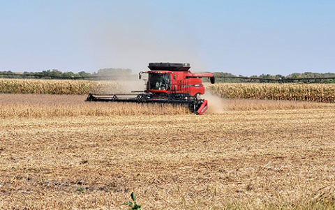 A farmer harvests soybeans along County Road 2 west of Stockham last week. Grain prices continue to be depressed, and a big crop in many regions will help, but it won’t entirely fix the cash-flow problem for many operations.