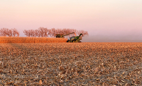 A farmer combines the last strip of corn in a field north of Aurora as the sun sets last Tuesday. The corn harvest appears to be nearly complete in Hamilton County. 