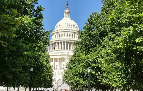 Over the past 20 years, Nebraska Extension policy specialist Brad Lubben has been writing his Policy Report columns for Nebraska Farmer. In this article Lubben notes how much things have changed on the farm policy front — and how much the discussions and debates have stayed the same.