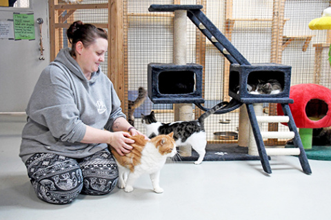 Aurora Adopt-A-Pet volunteer Samantha Wize plays with some of the cats inside of the current community cat room. 