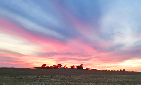 Partly cloudy or partly sunny? Indicators point to better farm income in 2025 than the previous year, but economists are still uncertain whether 2026 will continue that trend.