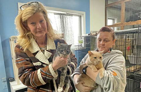 Aurora Adopt-A-Pet is starting a new program called Silver Whiskers which will pair senior cats with senior citizens who could otherwise not afford a pet. Pictured with two of the senior cats are Adopt-A-Pet President Shannon Goltz and volunteer Samantha Wize.