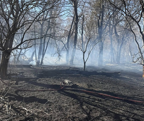 The fire on Saturday near roads 10 and M southwest of Aurora burned into this shelter belt where there was quite a bit of dead wood for fuel. Aurora Fire Chief Tom Cox says because of smoldering in piles of wood, firefighters had to spend several hours on Sunday watching for hot spots and flareups due to the wind. 