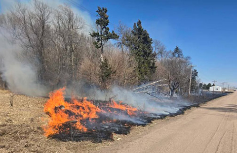 This grass fire on Saturday burned about five acres near the intersection of county roads M and 10. While the flames threatened farm buildings, the only structure damage was to a vinyl fence near a house. Due to the extremely dry conditions statewide, Gov. Jim Pillen has issued an executive order prohibiting burn permits from being issued by local fire chiefs.