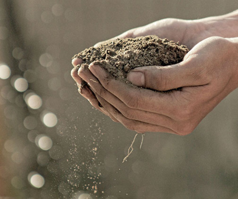 At its core, the growing regenerative ag movement is about restoring what makes Nebraska agriculture possible in the first place: healthy soil. Farmers are turning to cover crops, no-till systems, and diverse crop rotations to combat erosion, improve water infiltration during both droughts and floods, and rebuild soil structure.
