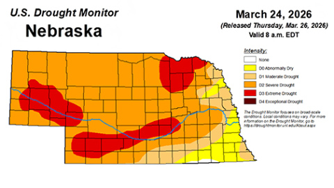 The latest Nebraska Drought Monitor Map shows 99 percent of the state to be abnormally dry, with most of Hamilton County in Severe Drought (D2) and a portion along the Platte River on the northwest side of the county is in D3, Exceptional Drought. 
