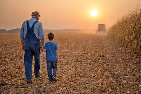 How farmland is titled can significantly affect whether heirs receive a full, partial, or no stepped-up basis. Understanding these ownership structures can help Nebraska farm and ranch families make more informed transition and estate planning decisions.