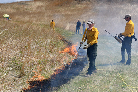 Sarah Bailey, PPRI’s conservation and education director, helps with a control burn April 30 on the Gjerloff Prairie west of Marquette.