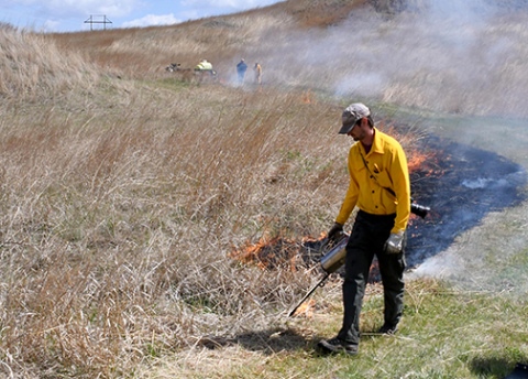 Ethan Freese uses a tool called a drip torch to drop burning fuel into the dry grass at Gjerloff Prairie on April 30 as part of a controlled burn. 