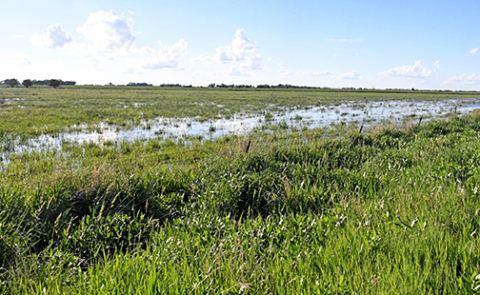 This wetland along J Road and just south of Highway 34 near the Giltner Spur has been filled up by recent rains to the point that, by one estimate, more than 100 acres is now underwater. 