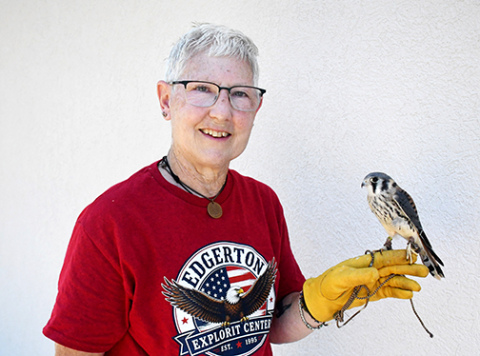 Jet the American kestrel is the latest addition to the raptor program at Edgerton Explorit Center
