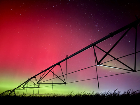 Desiree Christenson ventured out into a nearby field in November, walking beneath an irrigation pivot to capture a different perspective of the Northern Lights display. The photo won first place in the Aurora Borealis category and was named grand champion in this year’s amateur photo contest.
